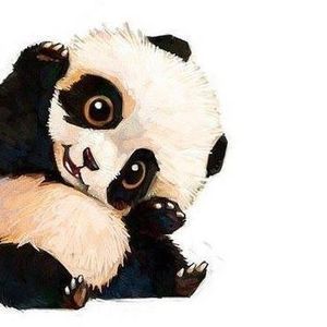 Meet your Posher, Diana